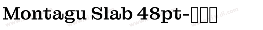 Montagu Slab 48pt字体转换